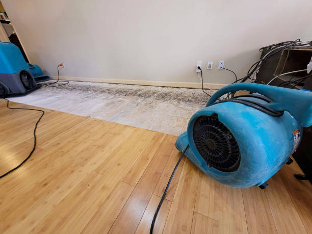 Professional Water Removal technician working in Taylorsville, UT